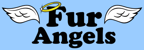 Fur Angels